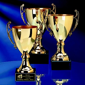 awardcup